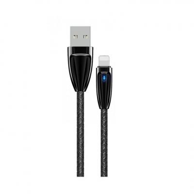 Dây Cáp Sạc BOROFONE BU3, BU-3 Cổng Lightning 1,2m