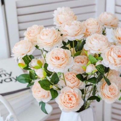 5 cành hoa mẫu đơn vải 65cm