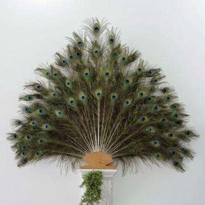 Bộ 10 lông công phong thủy