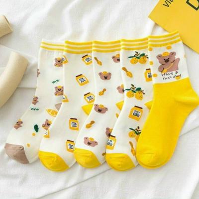 Combo 5 Đôi Vớ Cổ Cao Hình Gấu Vàng