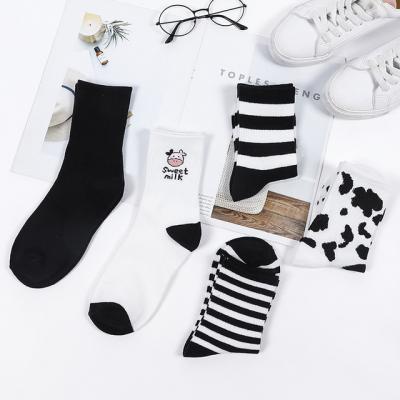Combo 5 Đôi Vớ Bò Sữa