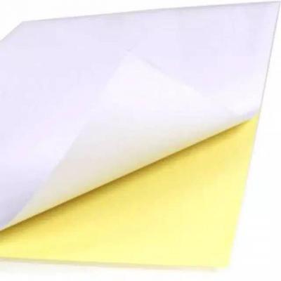 Decal A4 đế vàng